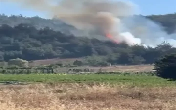 Bursa Kestel orman yangını