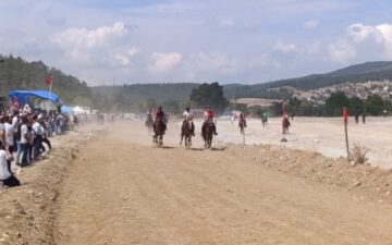 at yarışları