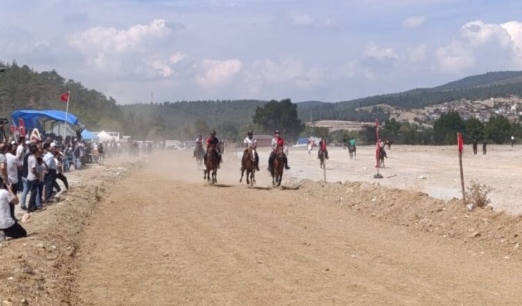 at yarışları