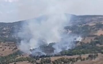Orman yangını
